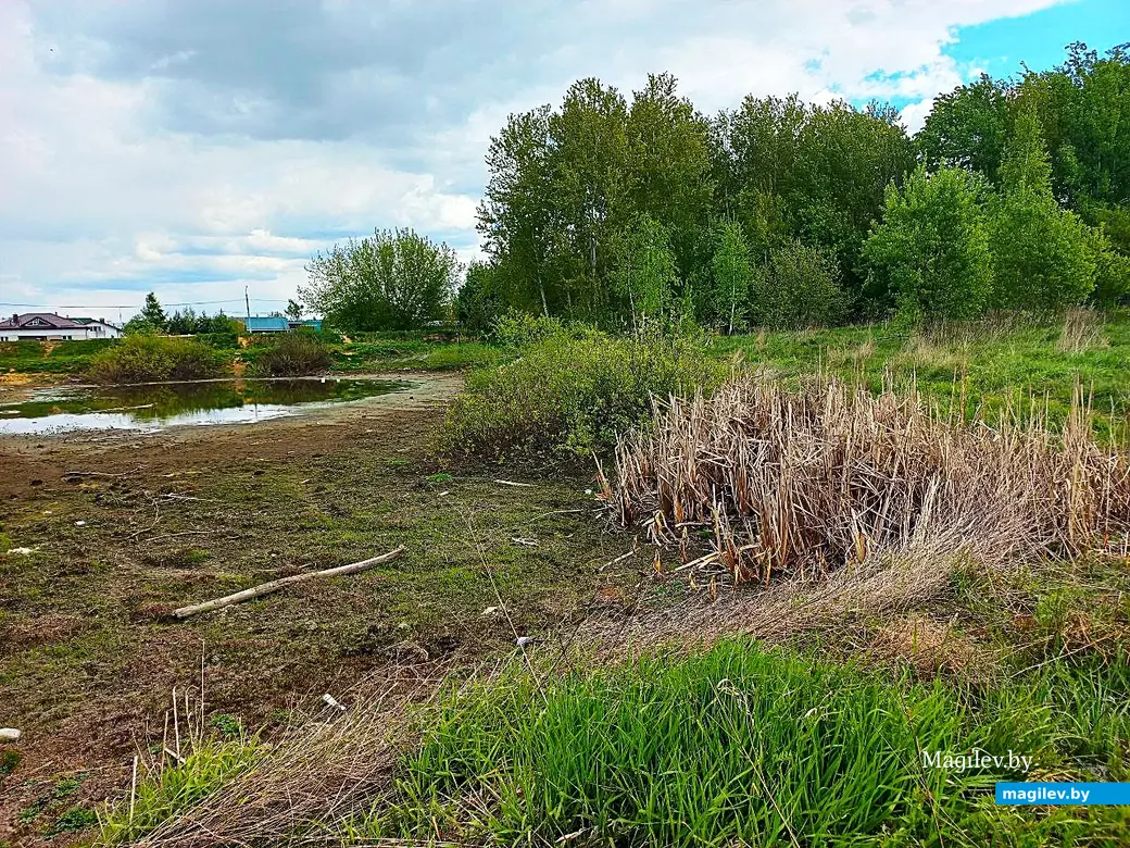 Май 2025 года, Могилев, окрестности микрорайона Казимировка.