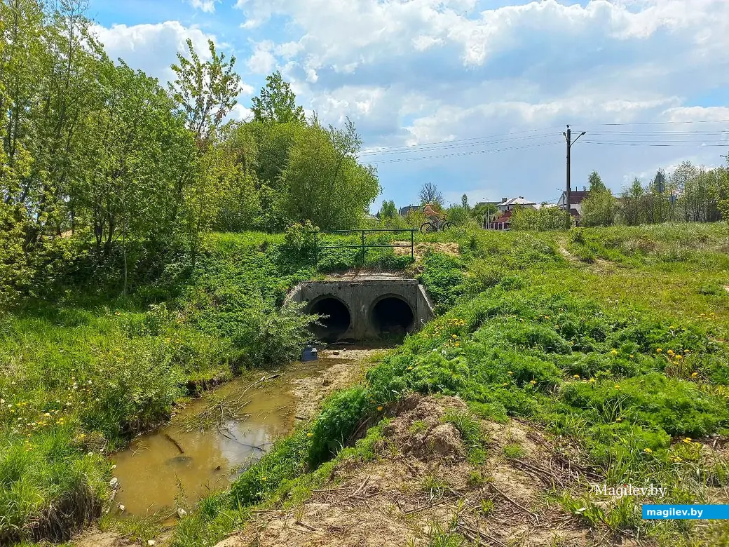 Май 2025 года, Могилев, окрестности микрорайона Казимировка.