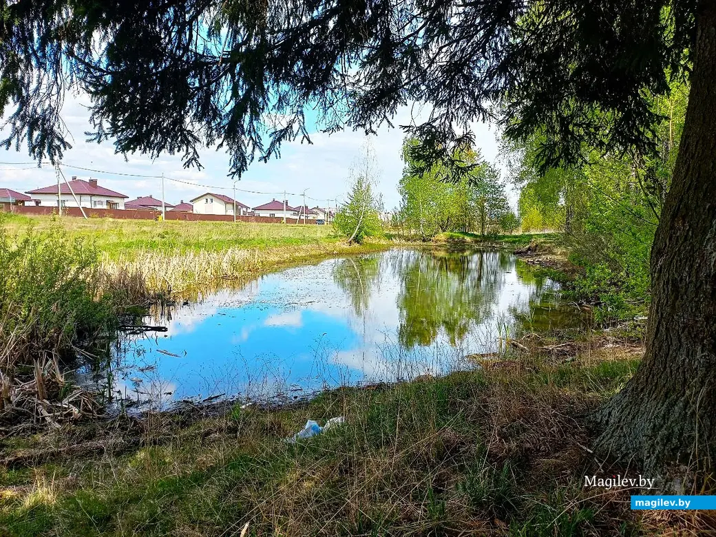 Май 2025 года, Могилев, окрестности микрорайона Казимировка.