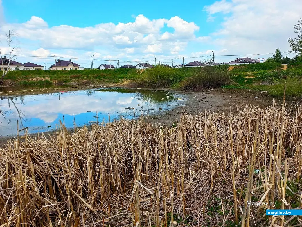 Май 2025 года, Могилев, окрестности микрорайона Казимировка.