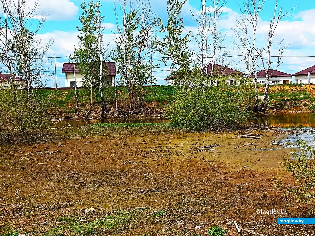 Май 2025 года, Могилев, окрестности микрорайона Казимировка.