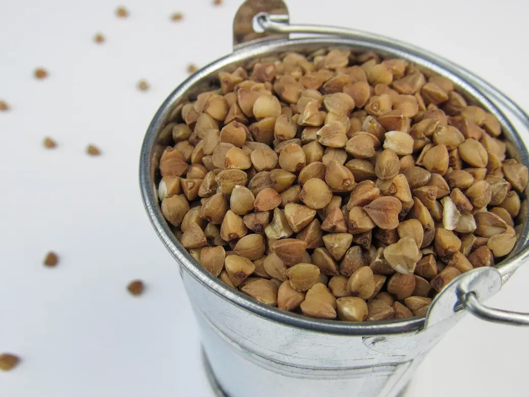 Гречка. Фото pixabay.com.