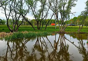 В могилевской Казимировке озерам свойственно не только исчезать, но и появляться