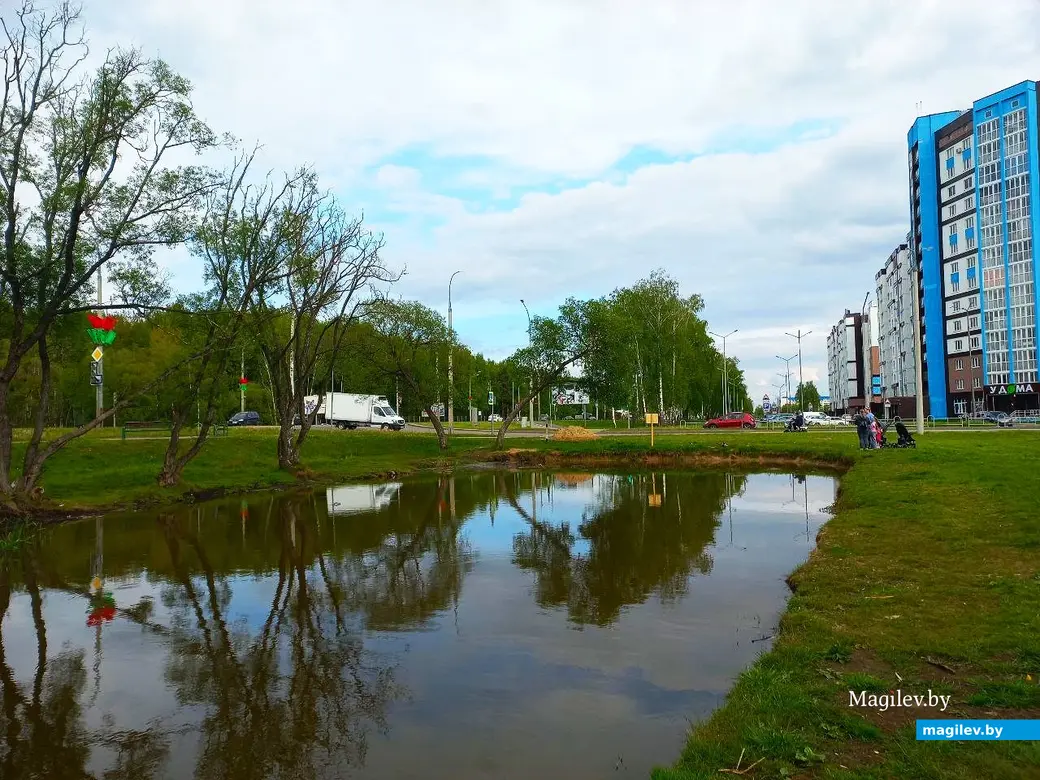 19.05.2025, Могилев, окрестности микрорайона Казимировка.