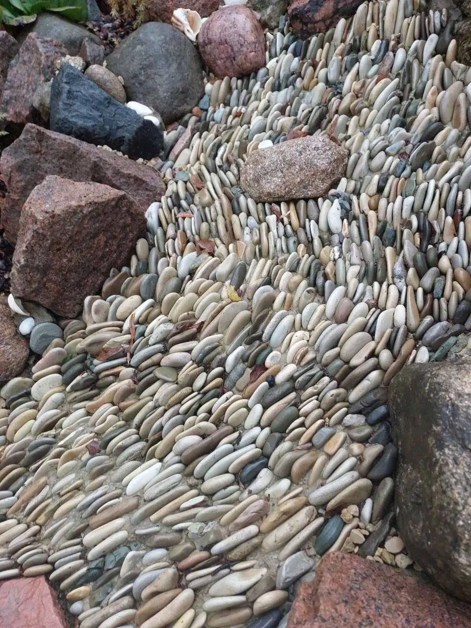 Октябрь 2024 года. Дача. Станция Понизов. Могилевская область. «Сухой ручей».