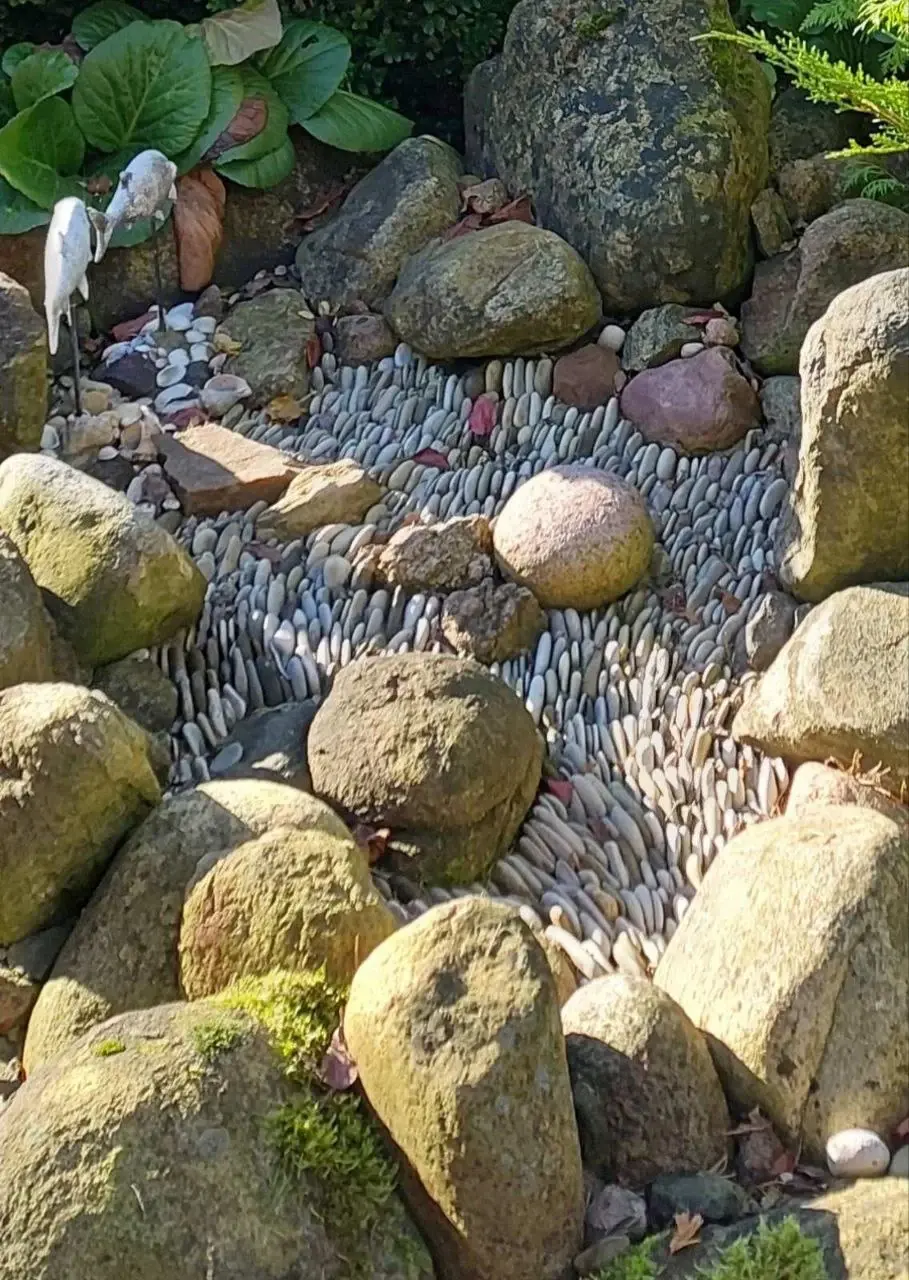 Октябрь 2024 года. Дача. Станция Понизов. Могилевская область.. Рокарий в палисаднике.