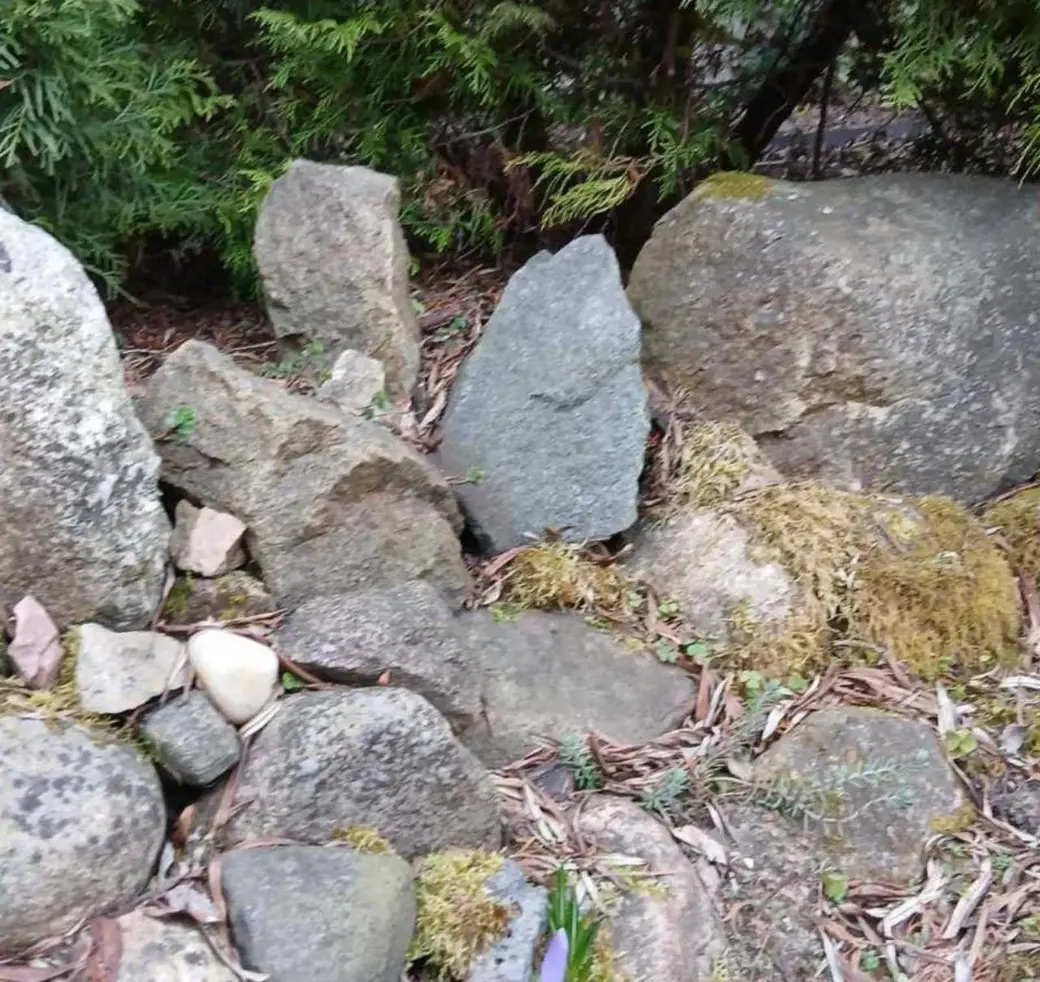 Ноябрь 2024 года. Дача. Станция Понизов. Могилевская область. Небольой рокарий украшает крыльцо у входа в дом. Валуны скреплены бетонным раствором.