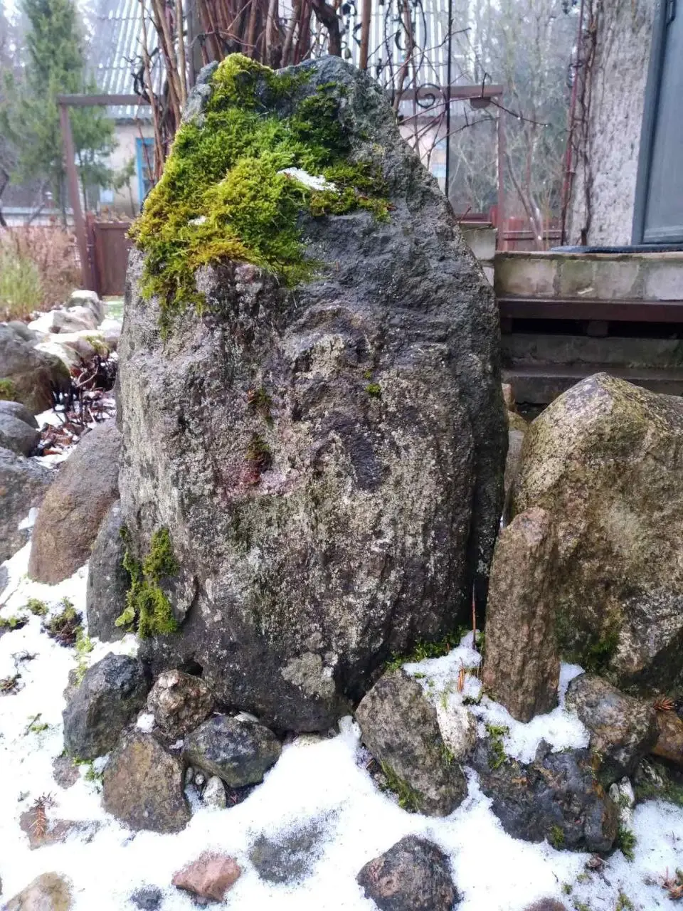 Декабрь 2024 года. Дача. Станция Понизов. Могилевская область. Большой валун, поросший мхом, который закрывает фундамент крыльца.