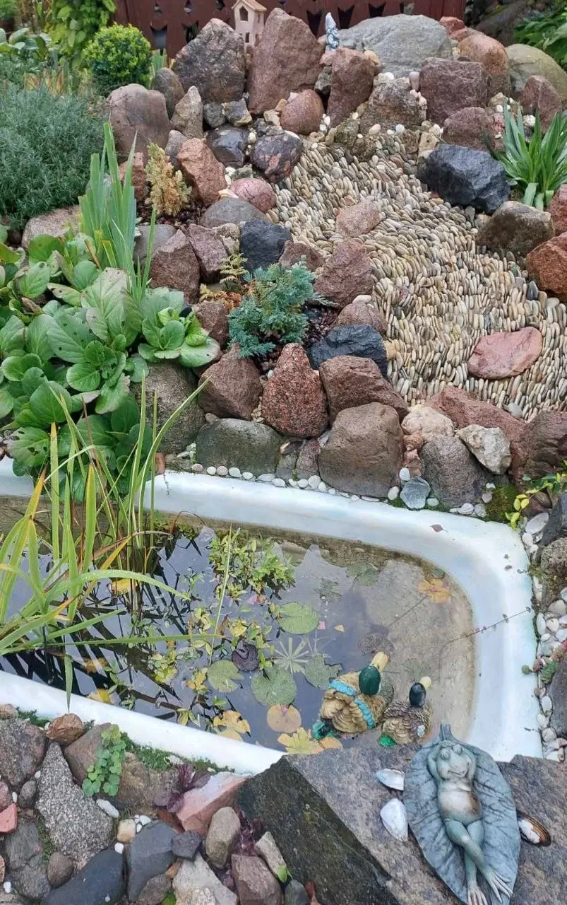 Октябрь 2024 года. Дача. Станция Понизов. Могилевская область.. Рокарий.