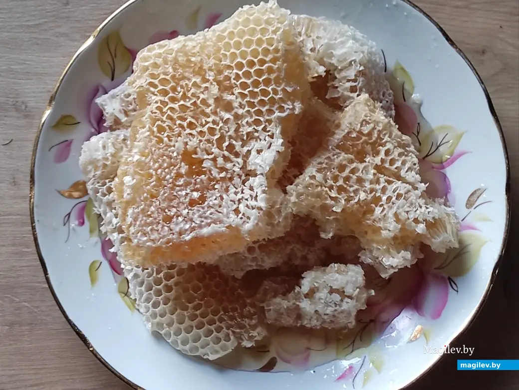 4.05.2025. д. Дубовка Бобруйского района. В гостях у пчеловода Юрия Шинкевича.