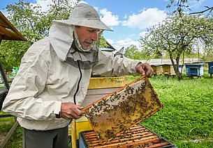 «Из-за непогоды можно потерять тонны меда»