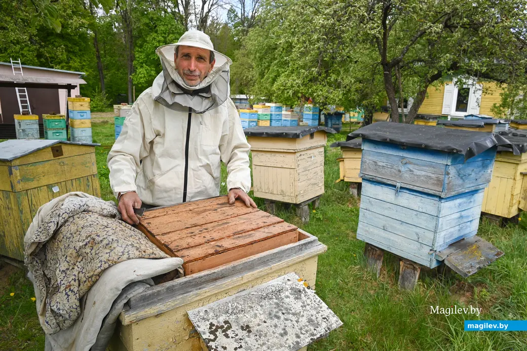 14.05.2025. Дубовка Бобруйского района. Пчеловод Юрий Шинкевич.