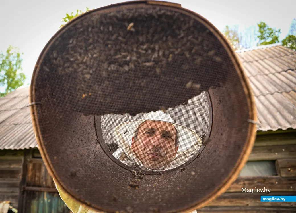 14.05.2025. д. Дубовка Бобруйского района. Пчеловод Юрий Шинкевич