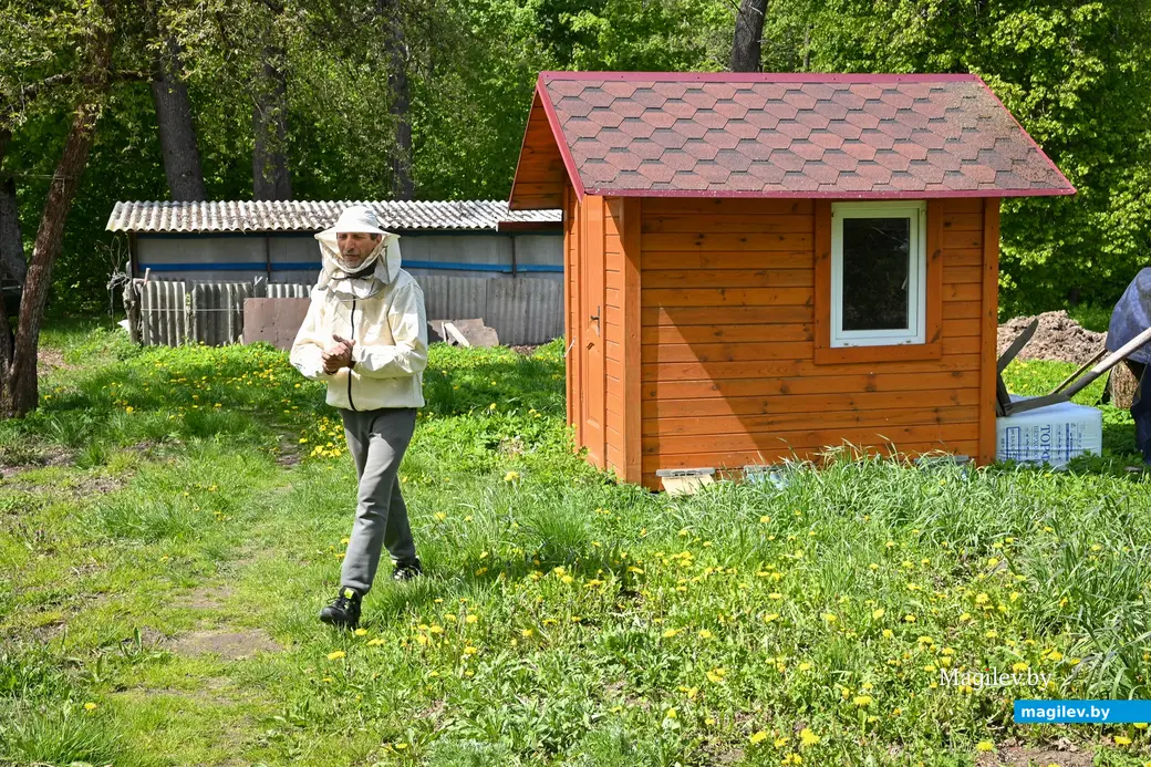 14.05.2025. д. Дубовка Бобруйского района. Пчеловод Юрий Шинкевич.