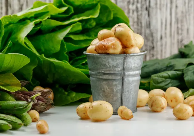 В МАРТ рассказали, когда в магазинах появится молодая белорусская картошка