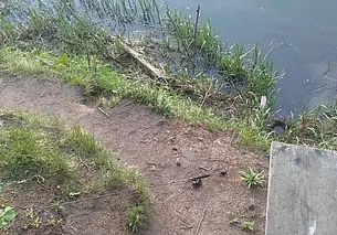 Минчанин утонул в Друти в Круглянском районе