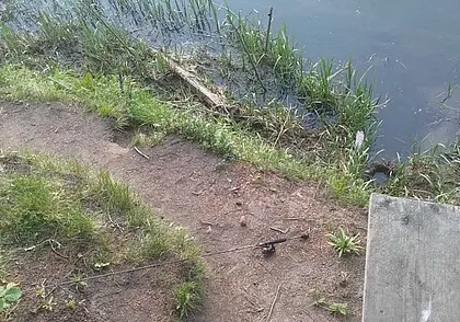 Минчанин утонул в Друти в Круглянском районе