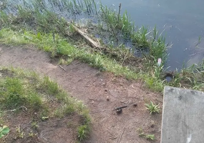 Минчанин утонул в Друти в Круглянском районе