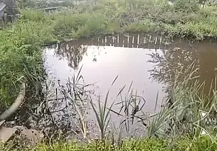 Ребенок утонул в пруду-копани на территории садового товарищества в Витебском районе