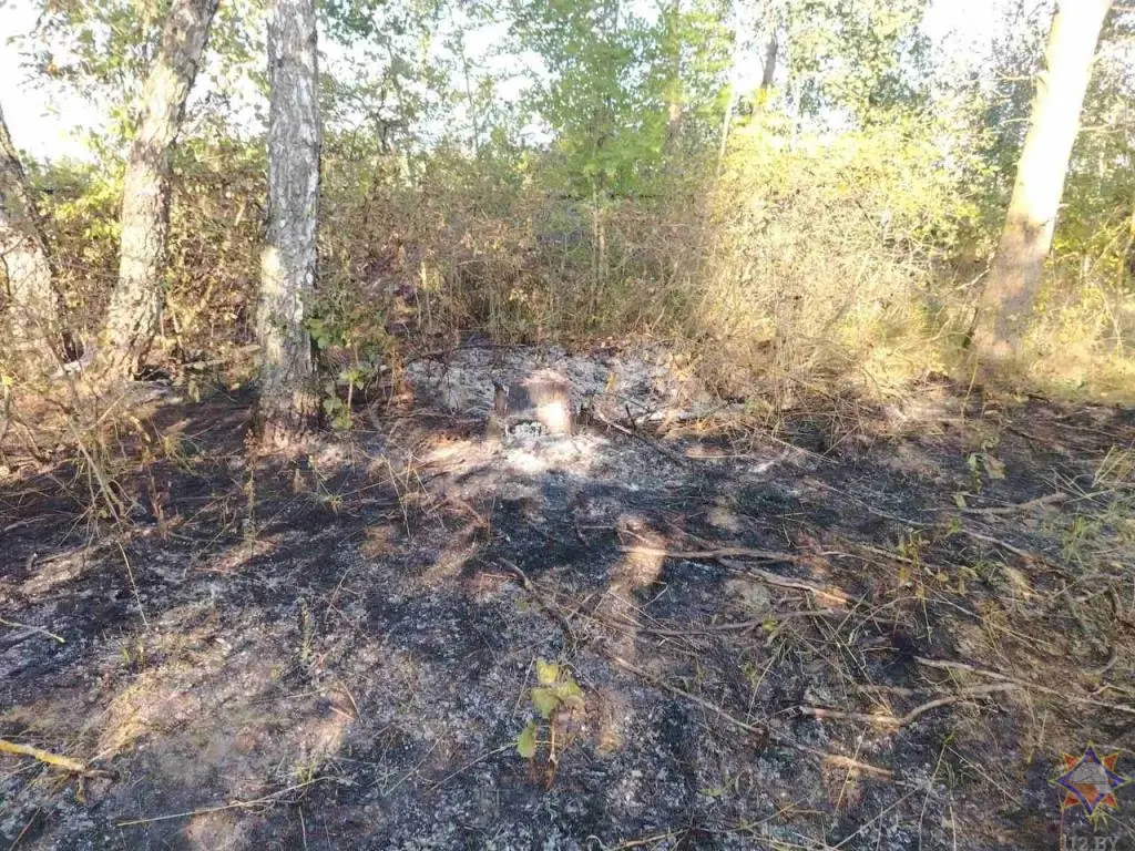 Палы. Фото сайт МЧС РБ.