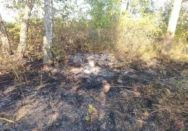 6 пожаров сухой растительности за 19 сентября в Могилевской области