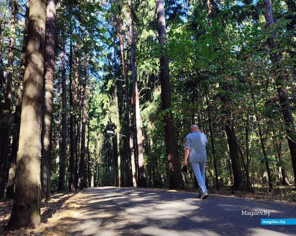 21 сентября 2024 г. Любужский лесопарк.