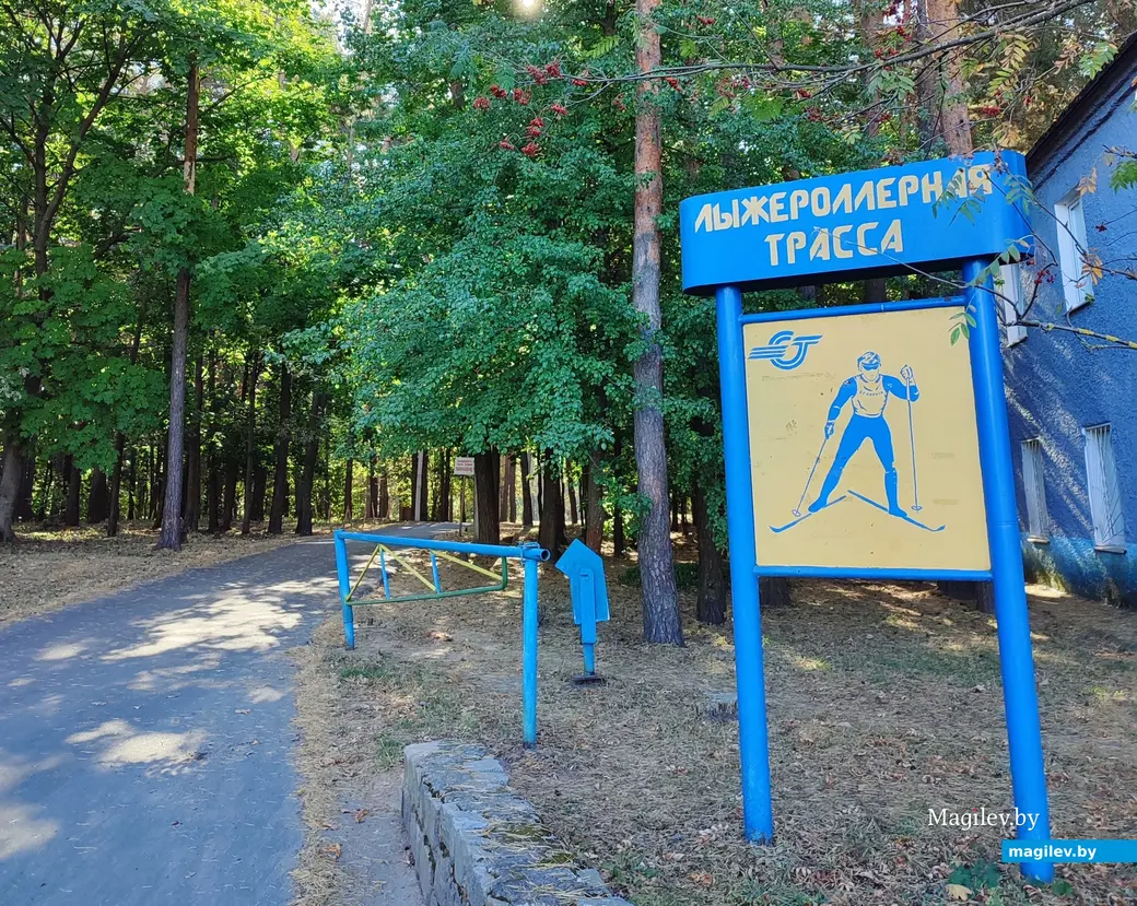 21 сентября 2024 г. Любужский лесопарк.