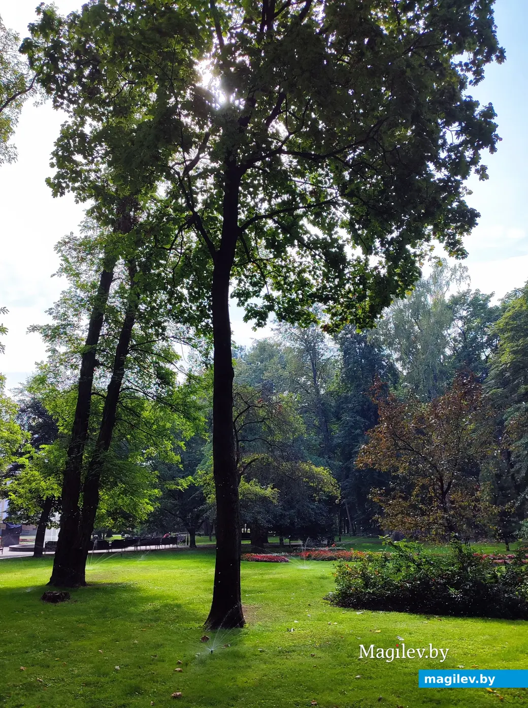 Сентябрь 2024 г. Гомель.