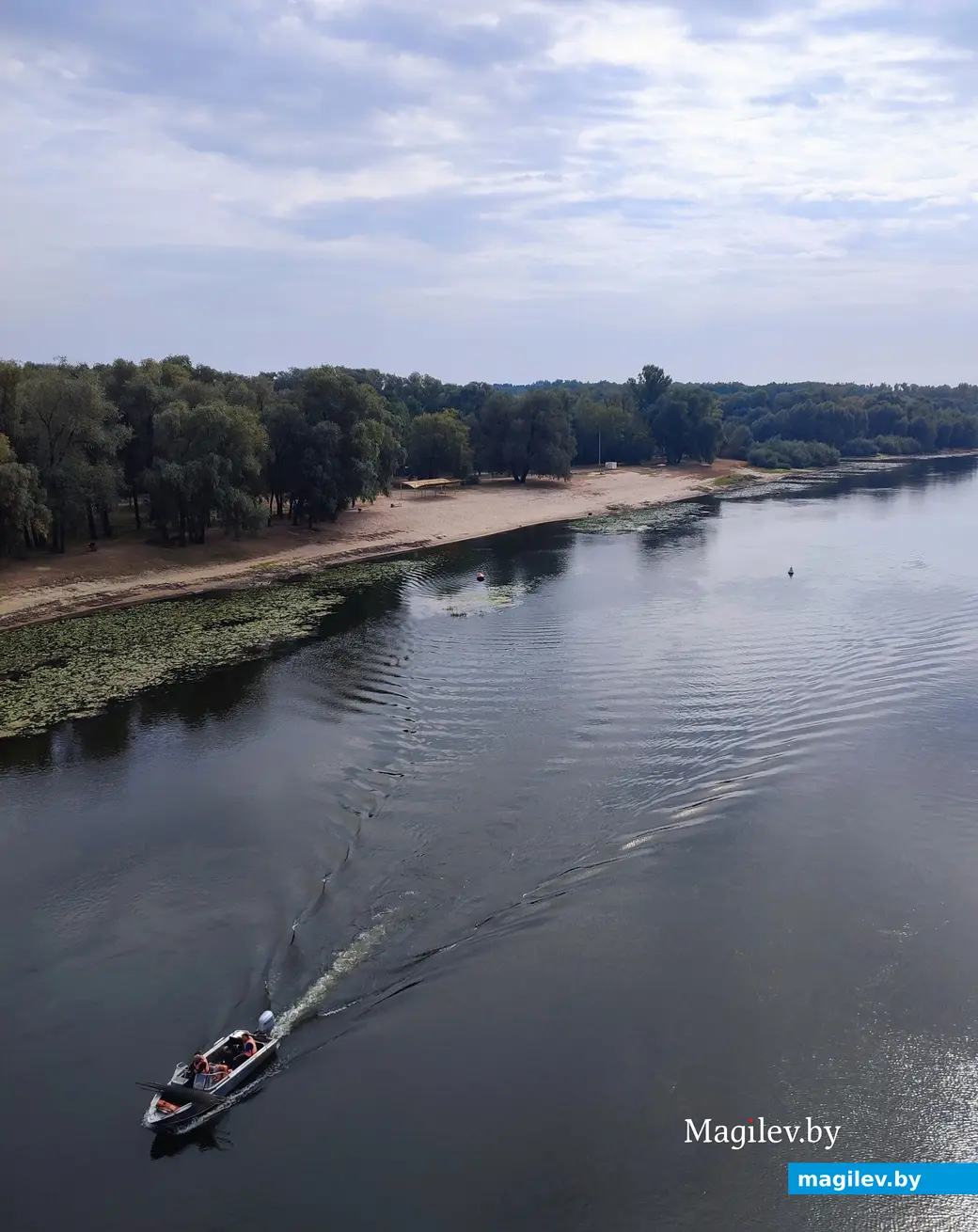 Сентябрь 2024 г. Гомель.