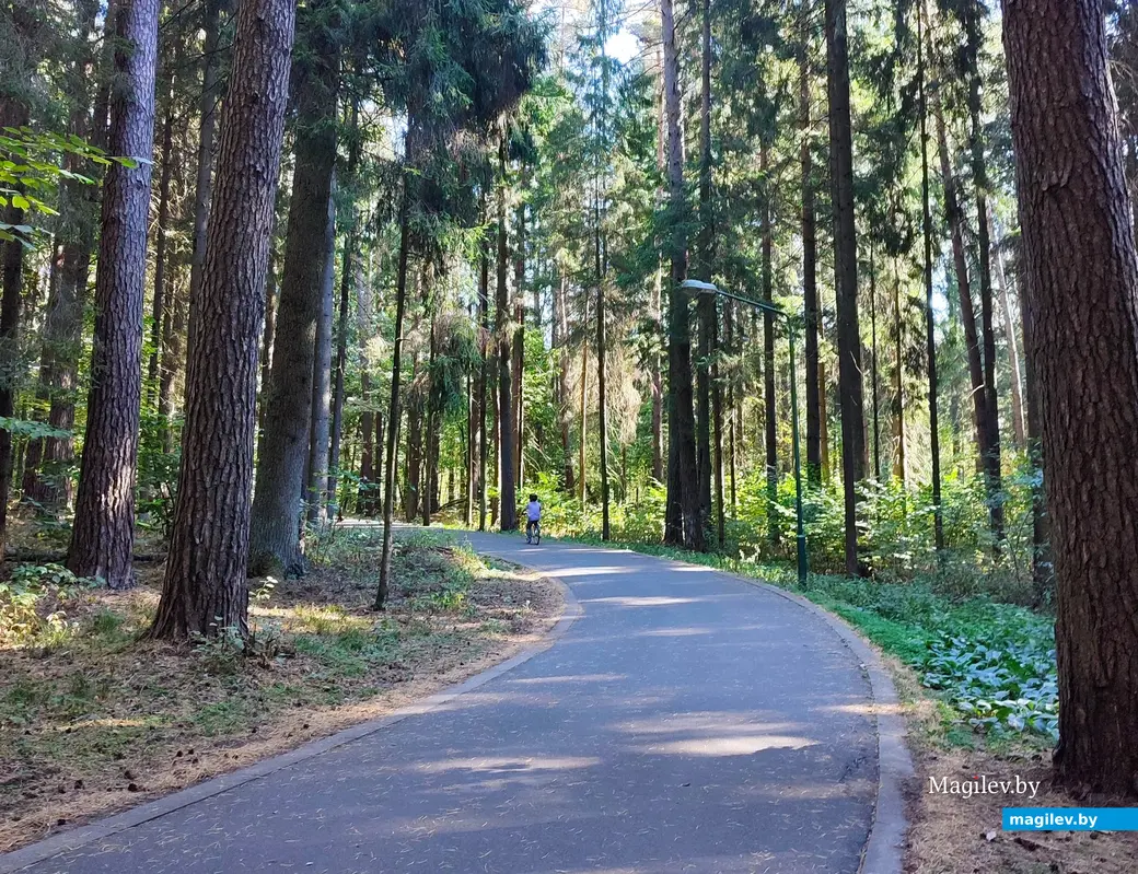 21 сентября 2024 г. Любужский лесопарк.