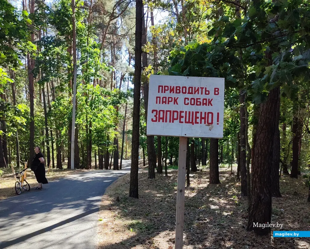 21 сентября 2024 г. Любужский лесопарк.