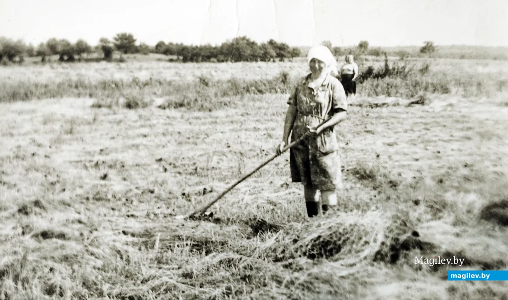 1970-е. Мария Ивановна на сенокосе за рекой в урочище Осиновица.