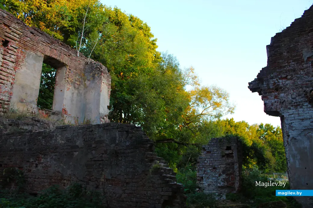 Сентябрь 2024 года. Бровар в Каничах Костюковичского района Могилевской области.