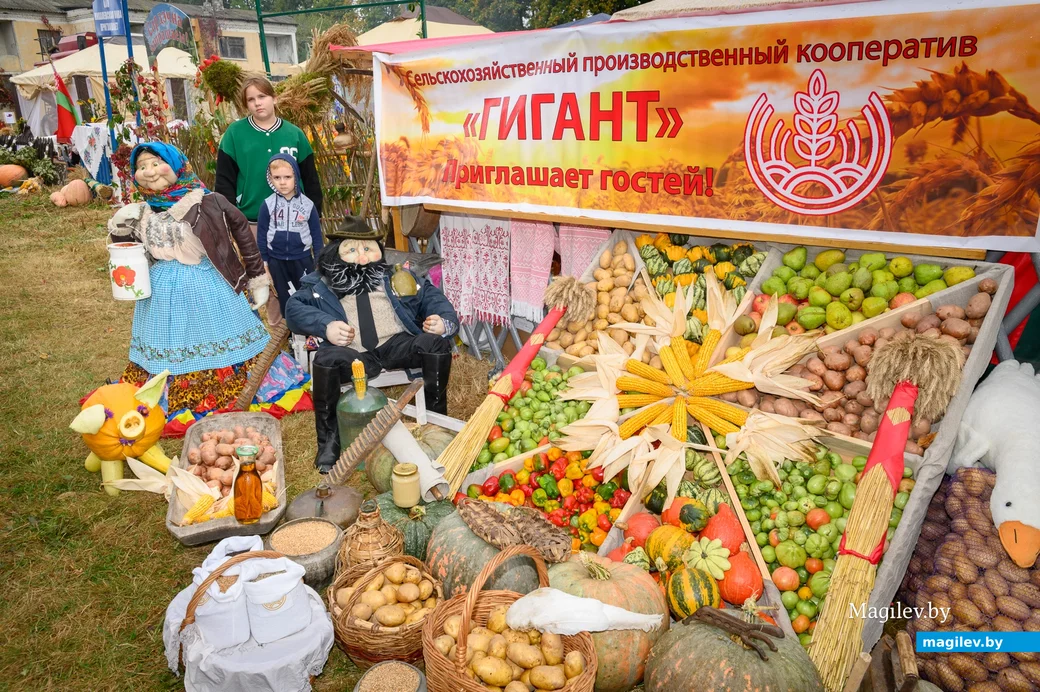 27.09.2024. Агрогородок Ленина. Районный фестиваль-ярмарка тружеников села «Дожинки 2024»
