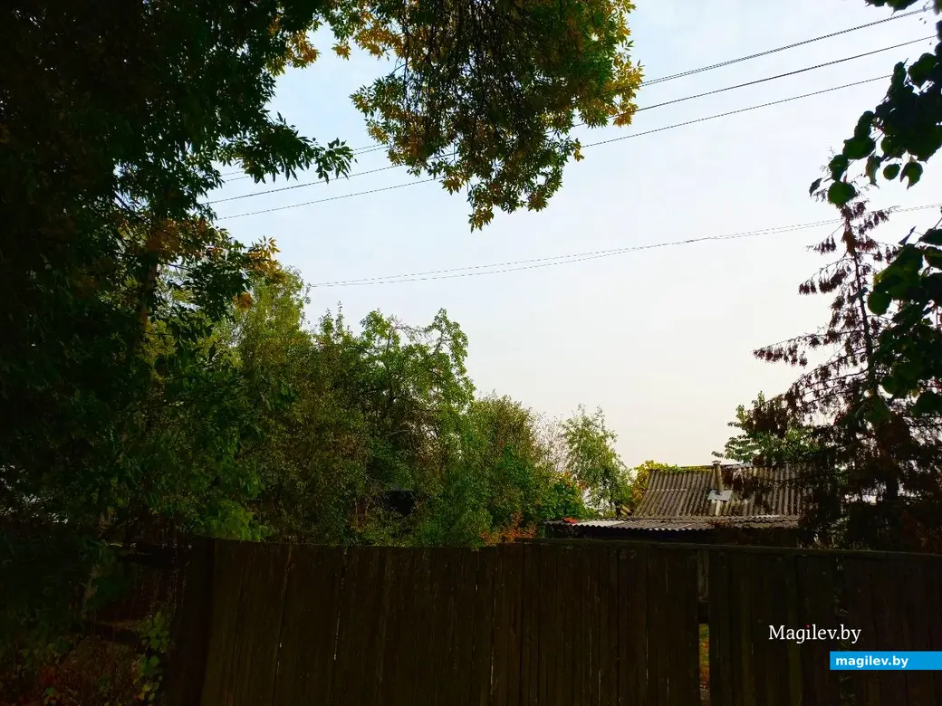 01.10.2024, Могилев микрорайон Казимировка.