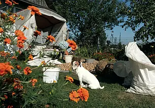 «За два сезона «на картошке» отложила себе на путевку в Египет»