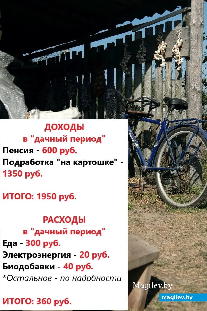Доходы и расходы нашей героини в «дачный сезон».