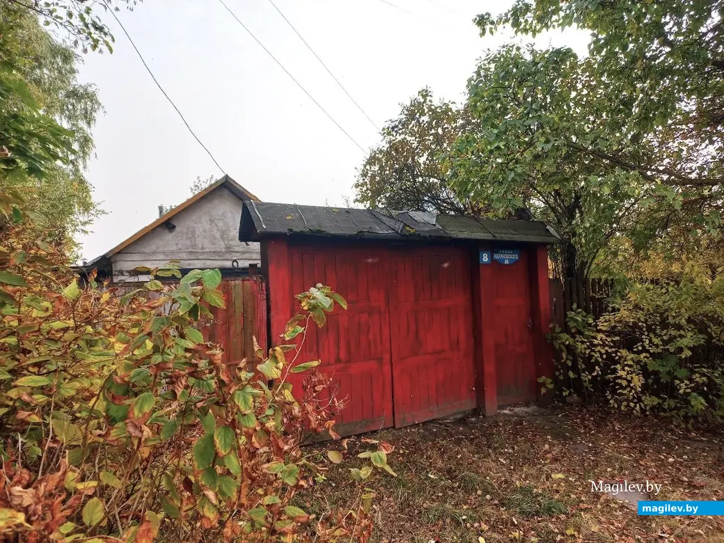 01.10.2024, Могилев микрорайон Казимировка.