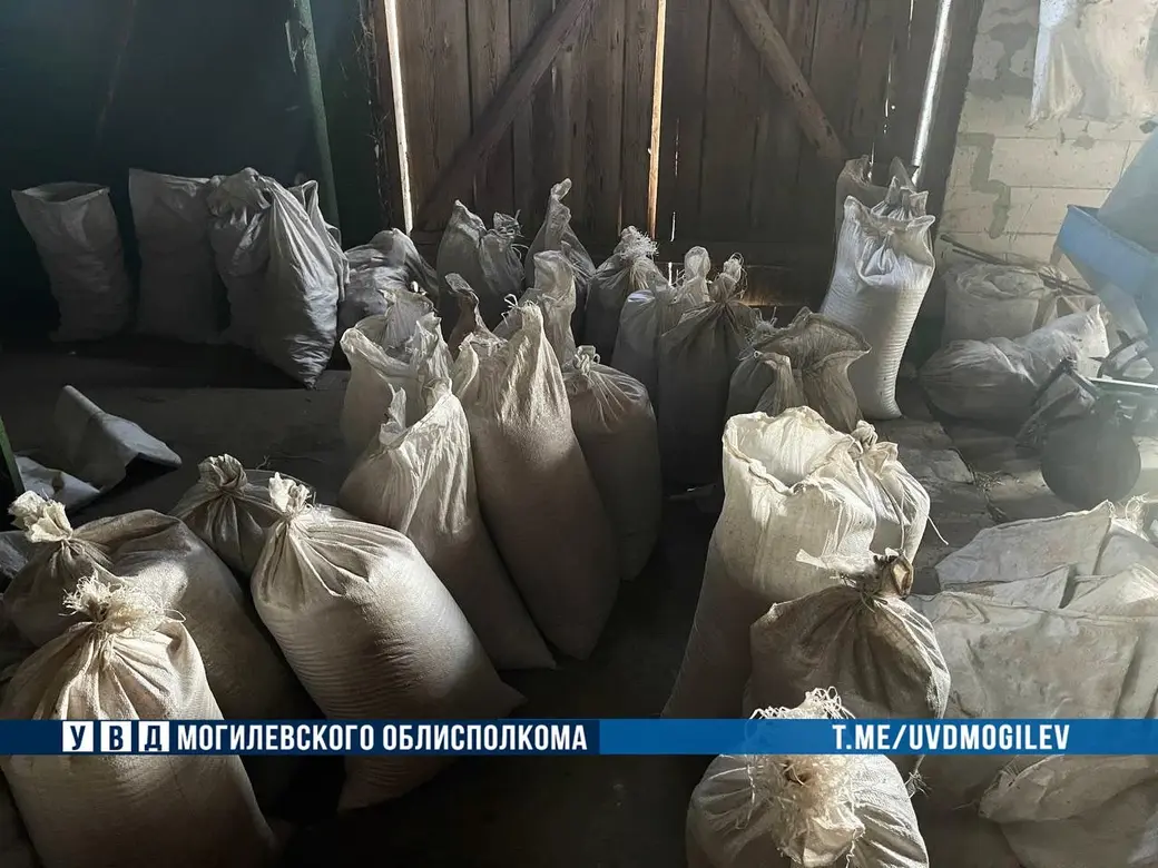 Фото: УВД облисполкома