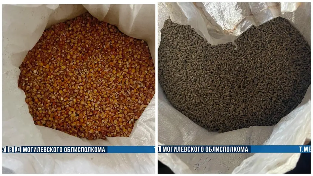 Фото: УВД облисполкома