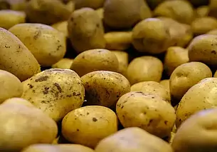 В Могилеве поставщики огурцов и картофеля получили штраф из-за цен