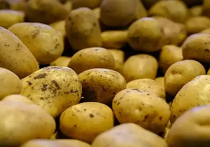 В Могилеве поставщики огурцов и картофеля получили штраф из-за цен