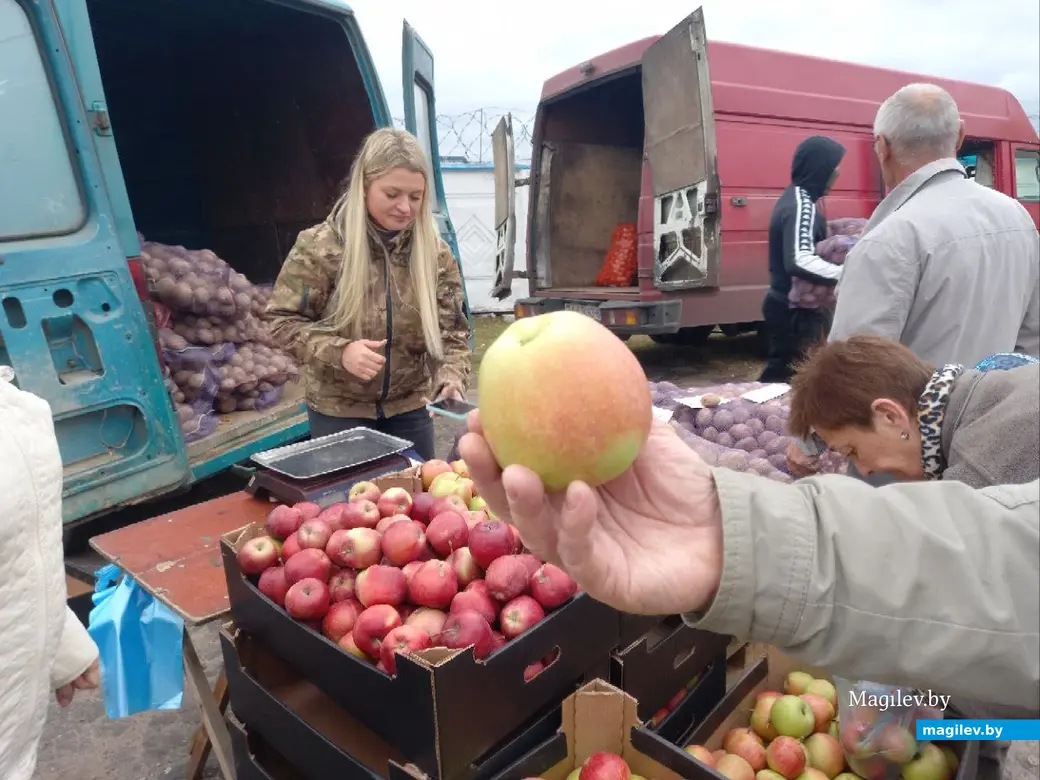 5.10.2024 г. Могилев. Сельскохозяйственная ярмарка на ул. Алтайской