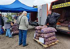 Картошка по рублю, морковка и капуста по полтора: сходили на сельхозярмарку на Алтайской, изучили ассортимент и цены