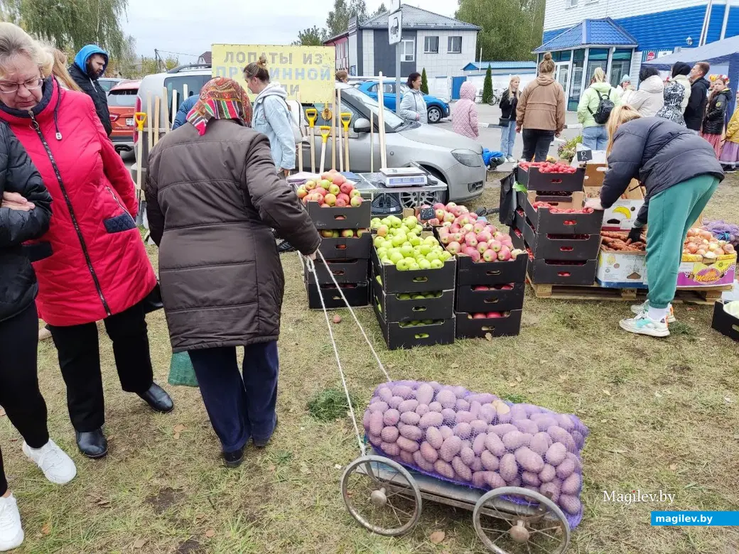 5.10.2024 г. Могилев. Сельскохозяйственная ярмарка на ул. Алтайской