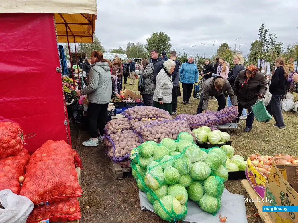 5.10.2024 г. Могилев. Сельскохозяйственная ярмарка на ул. Алтайской