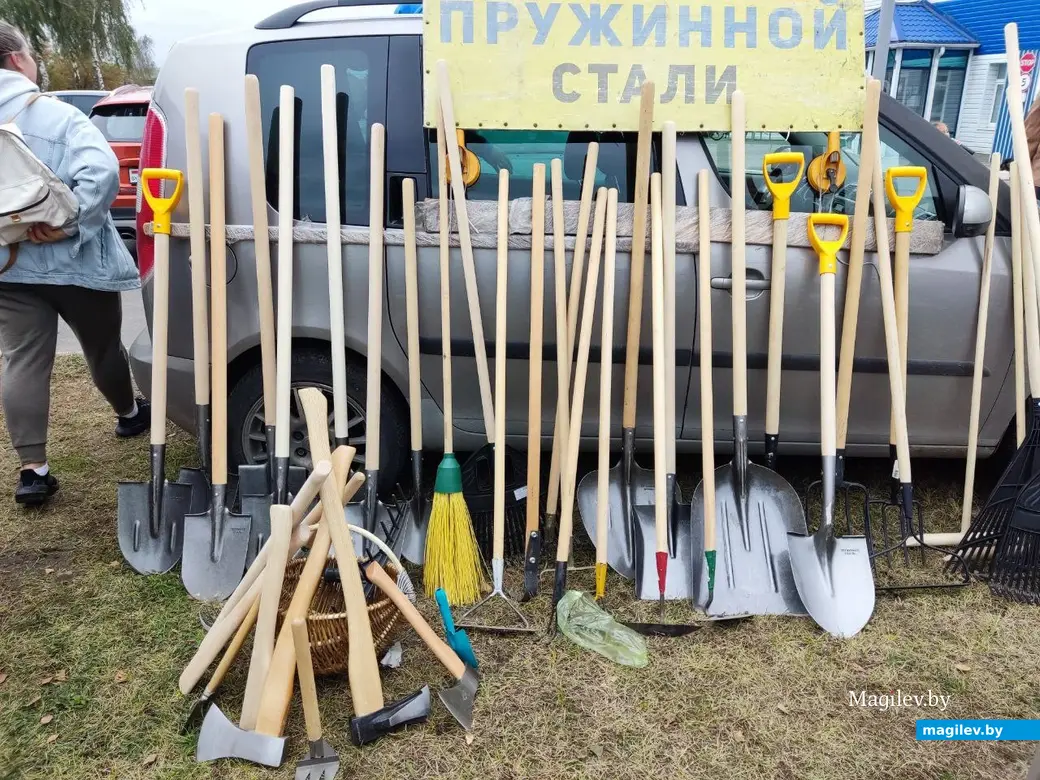 5.10.2024 г. Могилев. Сельскохозяйственная ярмарка на ул. Алтайской