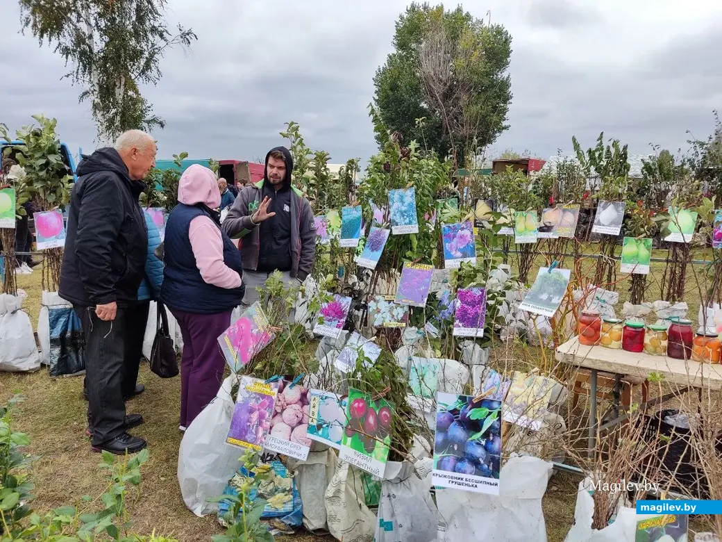 5.10.2024 г. Могилев. Сельскохозяйственная ярмарка на ул. Алтайской