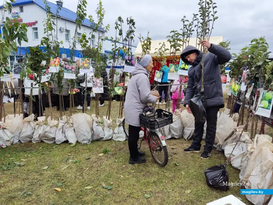 5.10.2024 г. Могилев. Сельскохозяйственная ярмарка на ул. Алтайской