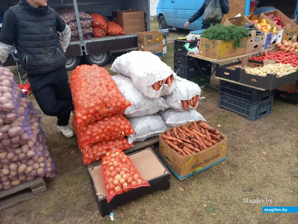 5.10.2024 г. Могилев. Сельскохозяйственная ярмарка на ул. Алтайской